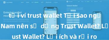 tải ví trust wallet Tại sao người dùng Việt Nam nên sử dụng Trust Wallet? Lợi ích và rủi ro